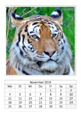 November_Tiger.pdf